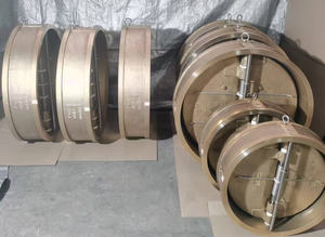 Valvola di Non Ritorno a Doppio Disco in Bronzo Alluminio C954 con Corpo e Disco Rivestiti in Gomma EPDM, Diametro DN40-DN600 - Product Image 3