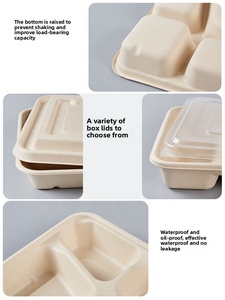 Boîte alimentaire jetable multi-compartiments en bagasse de canne à sucre biodégradable et compostable pour plats à emporter, sushis et frites - Product Image 5