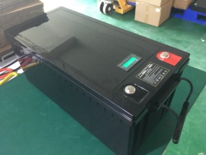 Nuevo Precio: Batería de Litio Ferrofosfato con BMS 24V 8S 150Ah, Paquete de Baterías DL-24150 de 24 Voltios con BMS y Cargador Rápido - Product Image 5