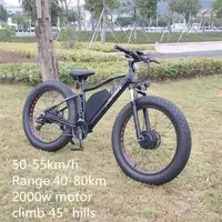 Electric Motorcycle for Adults, Fat Tire Ebike, Dirtbike