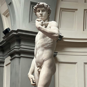 Statue européenne de Michel-Ange <span class=keywords><strong>David</strong></span> célèbre sculpture classique en marbre grandeur nature pour église temple intérieur décoration d'art extérieur - Product Image 3