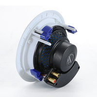 Haut-parleur de plafond intérieur sans cadre à impédance 30w 8ohm pour centre commercial public