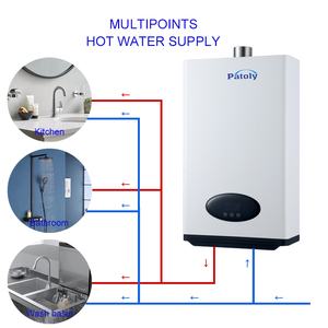 10 lto12l14l16l fornello ad acqua calda Gas forno a Gas 0.2 ~ 0,8 par 220V avvio a bassa pressione dell'acqua in rame conversione pompa dell'acqua calda - Product Image 2