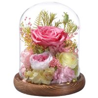 Dôme en verre de fleurs éternelles artisanales violettes – Présentoir de table pour Maman, petite amie, grand-mère – Cadeau d'anniversaire ou de Noël