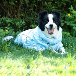 Chaqueta Impermeable y Cortavientos para Perro, Reflectante, Protección UV, Anti-Pelo, para Invierno, Senderismo y Camping - Product Image 3
