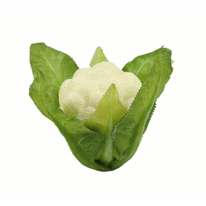 ก้านผักปลอมพลาสติก/PE ทนทาน เป็นมิตรกับสิ่งแวดล้อม เหมือนจริง ใช้ตกแต่งบ้าน ห้องครัว ซูเปอร์มาร์เก็ต - Product Image 4