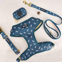 Harnais pour chien Sunraymascota : Fabricants, faible MOQ, vente en gros, conception personnalisée, ensemble de harnais réglable pour chien