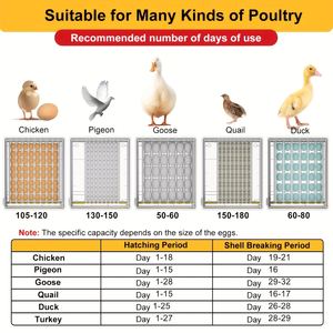 Piccolo allevamento di pollame utilizza incubatrice di uova 120 a doppia potenza da cova automatica ad alto tasso di cova - Product Image 5