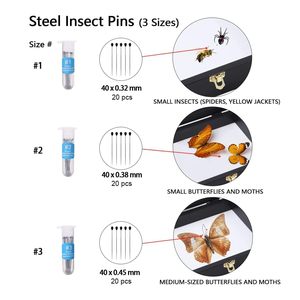 Boîte de présentation d'insectes en bois <span class=keywords><strong>noir</strong></span> avec porte en verre transparent, pour objets de collection - Product Image 2
