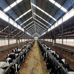 Construcción de Naves Agrícolas Prefabricadas de Acero a Bajo Costo: Establos para Vacas, Ovejas, Ganado Lechero, Cabras, Aves de Corral y Cerdos - Product Image 1