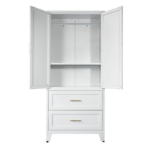 Armoire métallique à 2 portes, <span class=keywords><strong>prix</strong></span> d'usine, armoire de rangement en acier, armoire de chambre personnalisée - Product Image 2