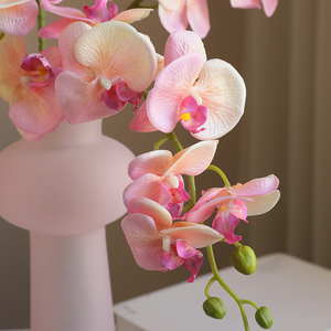 Fleurs artificielles en latex d'orchidées <span class=keywords><strong>Cymbidium</strong></span> blanches Real Touch pour la remise des diplômes ou les décorations d'Halloween - Product Image 4