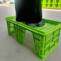 Cage de transport d'œufs de poulet en plastique léger et durable, état neuf avec garantie d'un an, caisses et plateaux de transport d'œufs