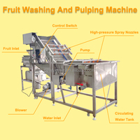 Efficiënte Commerciële Fruitreinigings-En Pulpproductielijn/Volautomatische Fruitreinigings-En Pulpmachine