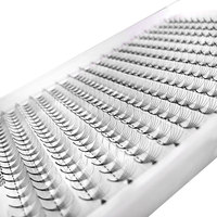 Extensions de cils synthétiques en gros - Plateaux de cils pré-faits en éventail 3D-14D, volume épais, grands éventails, grappes individuelles