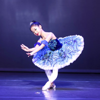 Jm300 vente en gros bleu professionnel Ballet Tutus jupe de danse femmes adultes filles Dancewear Costumes classiques Ballet Tutu robe