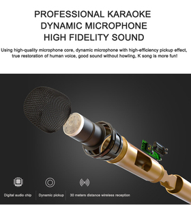 Hệ thống loa âm thanh vòm 5.2 với loa siêu trầm không dây 8 inch và loa siêu trầm có dây 8 inch cùng loa vòm phía sau - Product Image 6