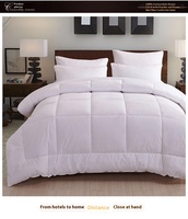 ChamXue Couettes Couette Insert Coton Tissu Soie-Comme Ouate Insert Literie Légère Couette Doux Toutes Saisons Réversible