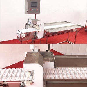 Machine automatique pour la fabrication de bâtonnets de viande séchée et de brochettes de barbecue - Product Image 5