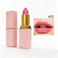 Rouge à lèvres velours nude rose naturel, crème minérale scintillante, tube imperméable 5g, best-seller