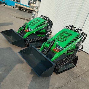 Китайские поставщики: гусеничный мини-погрузчик на дизельном топливе, одобренный CE, по низкой цене - Product Image 3