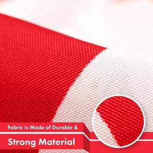 Suministro de fábrica personalizado Hong Kong 3X5 Ft impreso poliéster bandera Banner <span class=keywords><strong>Asia</strong></span> dormitorio hombre cueva asiática SAR - Product Image 4