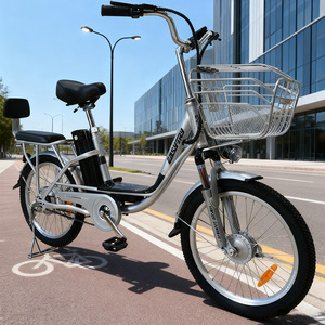 จักรยานไฟฟ้าส่งของในเมือง 36V 250W 20 นิ้ว โครงเหล็ก Cagro สำหรับผู้ใหญ่ ราคาถูกแบบ EXW - Product Image 5