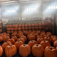 Décoration de fête d'Halloween - Article de décoration pour porche et entrée de maison - Grande citrouille en mousse de 60 cm
