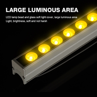 Iluminación LED de Tubo de Píxeles para Decoración de Centros Comerciales y Edificios Exteriores, Resistente al Agua IP66, Luz Lineal RGB de 12W