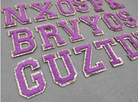 Parches de Corazón de Chenilla Morada con Lentejuelas, Adhesivos Termoadhesivos con Brillo Plateado, Bordado Láser, Adorno de Flores para Prendas y Gorras