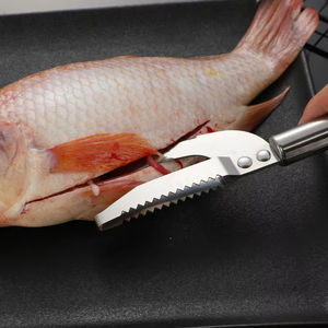 Raspador de Escamas de Pescado de Liberación Rápida al por Mayor, Herramienta para Mariscos para una Limpieza Eficiente, Cepillo Rallador de Pescado, Gadgets de Cocina Rápidos - Product Image 4