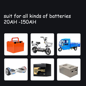 Cargador de Baterías de Litio de 1A a 15A, 36V, 48V, 58.4V, 72V, 60V, 67.2V, 84V, Li-ion, LiPo, Lifepo4, Ajustable, Carga Rápida, 20S - Product Image 6