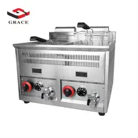 Stainless Steel Gas Deep Fryer, Commercial French