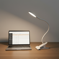 Lampe de lecture LED portable USB à pince flexible pour la maison, la chevet, la table, le bureau, avec variateur d'intensité