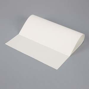 Papier sulfurisé carré 70x50cm en silicone double face pour cuisson à la vapeur et barbecue, blanc, 200 pièces - Product Image 1