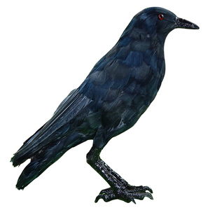 Escultura <span class=keywords><strong>de</strong></span> Cuervo Negro Artificial <span class=keywords><strong>de</strong></span> Tamaño Real para Caza, Ahuyentador <span class=keywords><strong>de</strong></span> Aves, Plástico Duradero + <span class=keywords><strong>Pluma</strong></span>, Uso en Interiores - Product Image 1