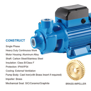 Pompe à eau périphérique ELESTAR QB-60 0.5HP OEM en laiton et acier inoxydable, certifiée ROHS, petit modèle portatif, prix bas, Zhejian - Product Image 6