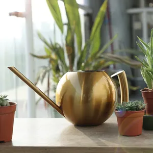 Arrosoir en acier inoxydable de 1L, petit arrosoir de jardinage avec poignée pour arroser les plantes, outil de jardinage pour fleurs - Product Image 1