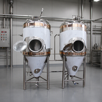 Fermenteur Conique en Acier Inoxydable à Double Paroi 200L 300L 500L 1000L pour Brassage de Bière avec Trappe Latérale ou Supérieure