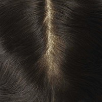 Perruque en cheveux naturels Newtimes Hair Wholesale Lace avec PU transparent pour hommes, système de toupet Lace Front, fournisseur Newtimes