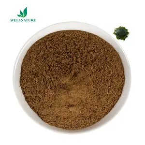 Wellnature Supply Extrait de varech d'algues de haute qualité 10:1 1% Poudre de varech d'extrait de varech d'iode