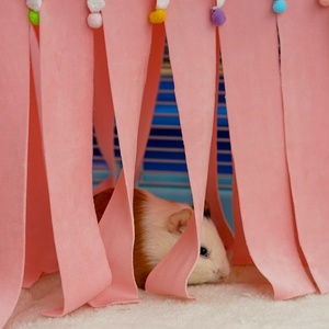 Dulaohan Vente directe usine Nouveau abri triangulaire <span class=keywords><strong>à</strong></span> pompon pour animaux de compagnie (hamsters, lapins, cochons d'Inde, cavies) avec bouton - Product Image 4