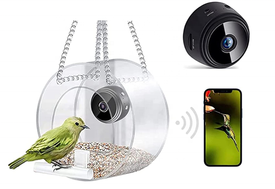 bird feeder camera cheap