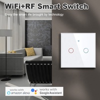 Produits Smart Life Tuya Interrupteur tactile 2 gangs Interrupteurs d'alimentation trempés en verre Interrupteur d'éclairage mural électrique intelligent en verre