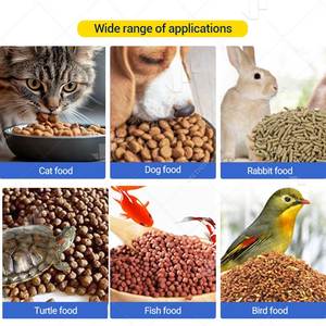 Machine à fabriquer des aliments pour animaux de compagnie en granulés pressés à froid, prix des granulés de chana, aliments pour poissons-chats, aliments pour poissons, aliments pour chiens secs flottants au Bangladesh - Product Image 6