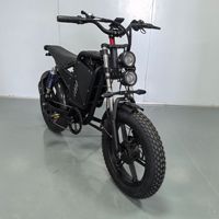Vélo électrique de ville et de montagne en acier de 20 pouces, 7 vitesses, moyeu arrière 500W, batterie lithium 48V 25Ah, freins à disque, VTT électrique pour adultes