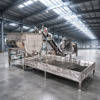 Machine automatique de découpe et de décongélation horizontale pour viande de bœuf et de mouton congelée, capacité 800L-2000L