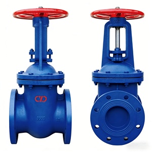 Vanne à opercule souple Z41X 16 à joint dentelé, avec noyau en cuivre, à bride, en fonte, avec siège élastique, épaissie, pour l'eau de lutte contre l'incendie - Product Image 1