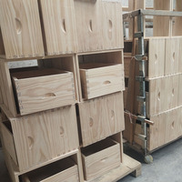 Ruche australienne en bois, 10 cadres, vente en gros