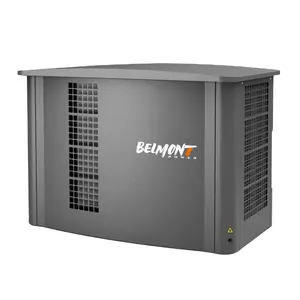 Générateur électrique domestique à onduleur alimenté 20kva 16kw 25kva 36kva 20kw 22kw 23kw 32kw 35kw Générateur domestique au gaz naturel